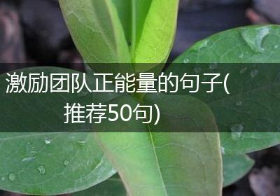 激励团队正能量的句子(推荐50句)