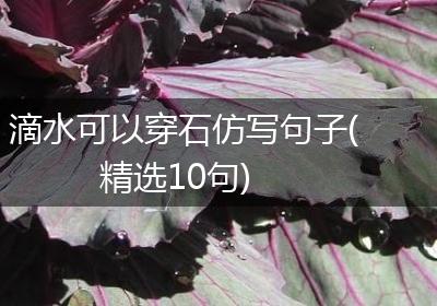 滴水可以穿石仿写句子(精选10句)