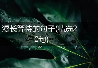 漫长等待的句子(精选20句)