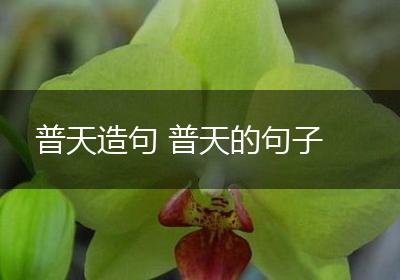普天造句 普天的句子