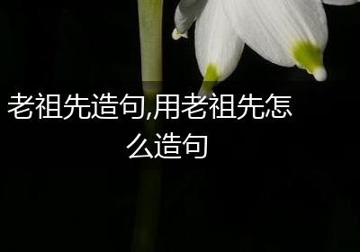 老祖先造句,用老祖先怎么造句