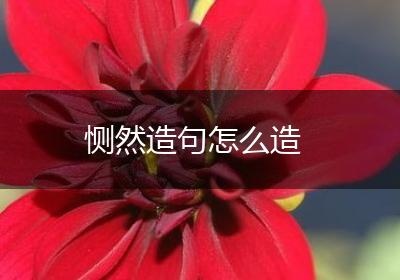 恻然造句怎么造