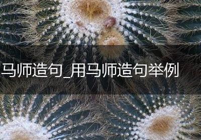马师造句_用马师造句举例