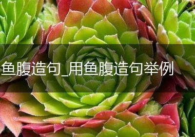 鱼腹造句_用鱼腹造句举例