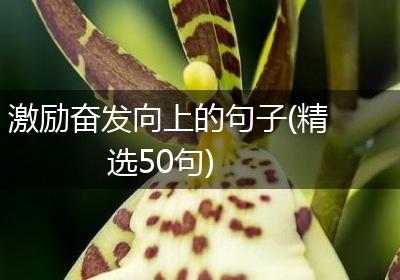 激励奋发向上的句子(精选50句)