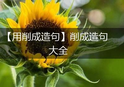 【用削成造句】削成造句大全