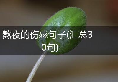 熬夜的伤感句子(汇总30句)