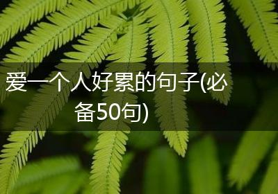 爱一个人好累的句子(必备50句)
