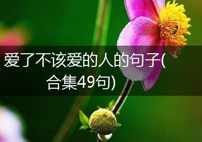 爱了不该爱的人的句子(合集49句)