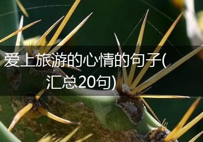 爱上旅游的心情的句子(汇总20句)