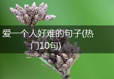 爱一个人好难的句子(热门10句)