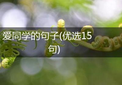 爱同学的句子(优选15句)