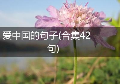 爱中国的句子(合集42句)