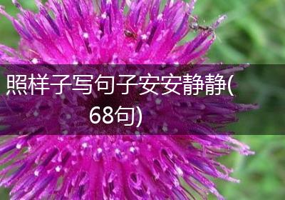 照样子写句子安安静静(68句)