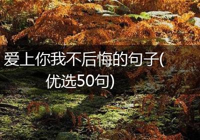 爱上你我不后悔的句子(优选50句)
