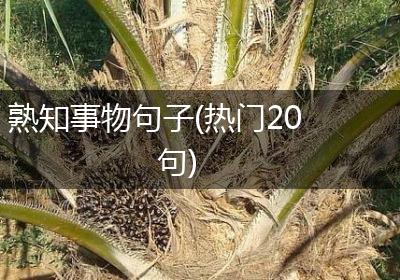 熟知事物句子(热门20句)