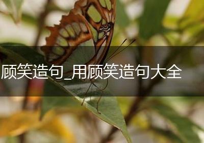 顾笑造句_用顾笑造句大全