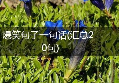 爆笑句子一句话(汇总20句)