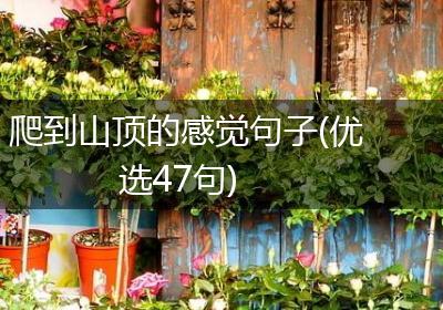 爬到山顶的感觉句子(优选47句)