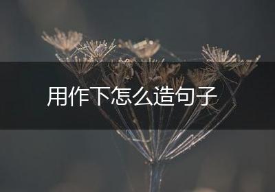 用作下怎么造句子