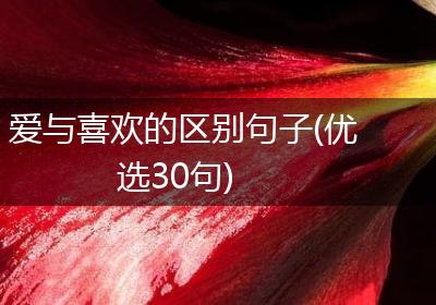 爱与喜欢的区别句子(优选30句)