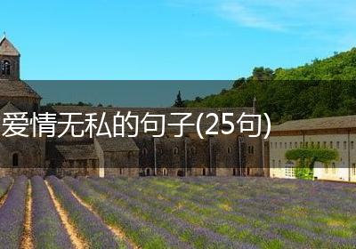 爱情无私的句子(25句)
