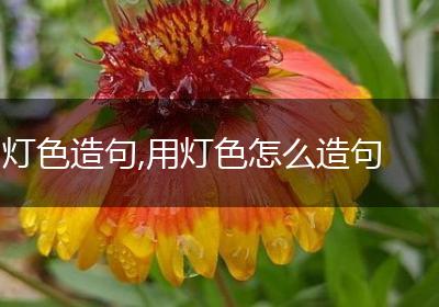 灯色造句,用灯色怎么造句