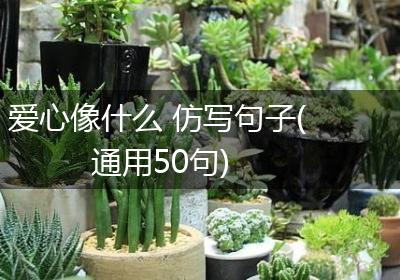爱心像什么 仿写句子(通用50句)