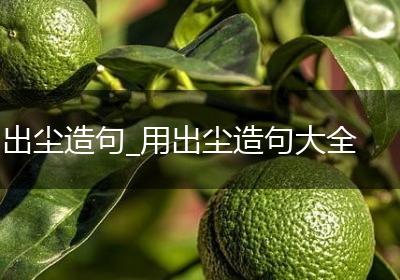 出尘造句_用出尘造句大全