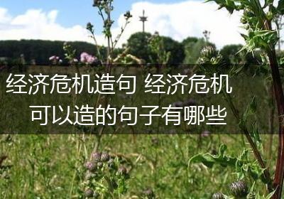 经济危机造句 经济危机可以造的句子有哪些