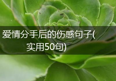 爱情分手后的伤感句子(实用50句)