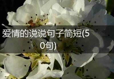 爱情的说说句子简短(50句)