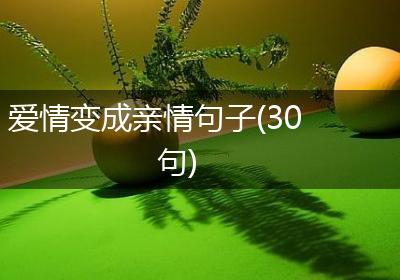 爱情变成亲情句子(30句)