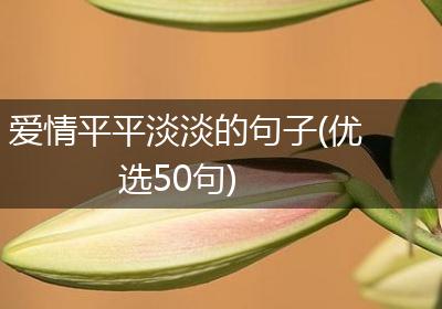 爱情平平淡淡的句子(优选50句)