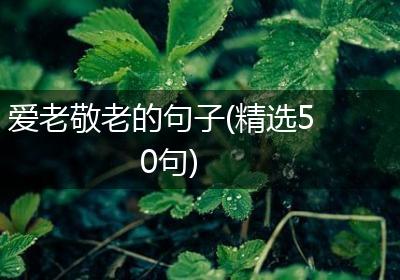 爱老敬老的句子(精选50句)