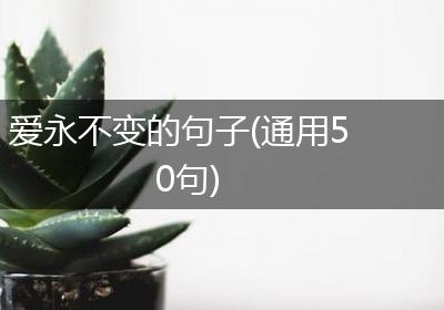 爱永不变的句子(通用50句)