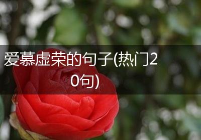 爱慕虚荣的句子(热门20句)