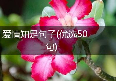 爱情知足句子(优选50句)