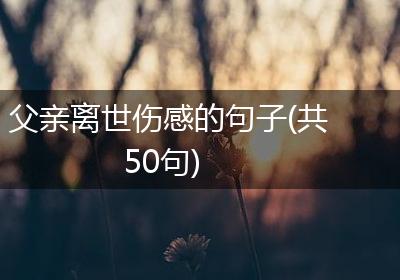 父亲离世伤感的句子(共50句)