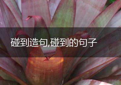 碰到造句,碰到的句子