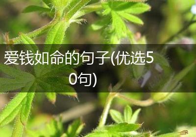 爱钱如命的句子(优选50句)