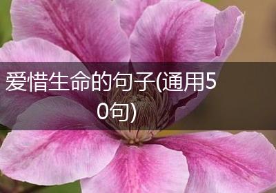 爱惜生命的句子(通用50句)