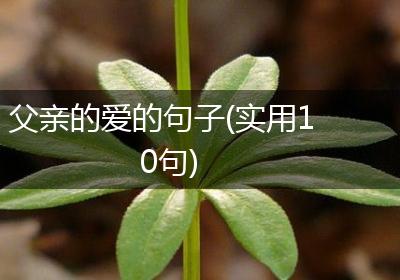 父亲的爱的句子(实用10句)