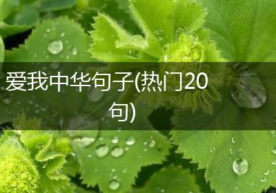 爱我中华句子(热门20句)