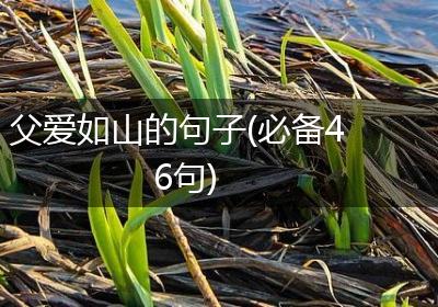 父爱如山的句子(必备46句)