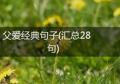 父爱经典句子(汇总28句)