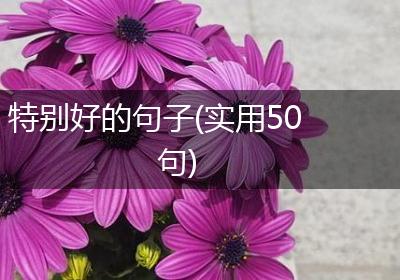 特别好的句子(实用50句)