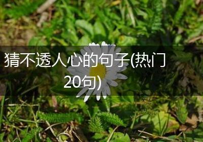 猜不透人心的句子(热门20句)
