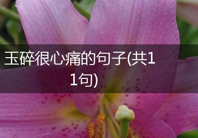 玉碎很心痛的句子(共11句)