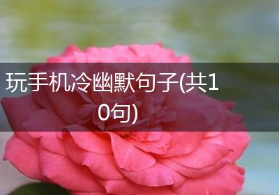 玩手机冷幽默句子(共10句)